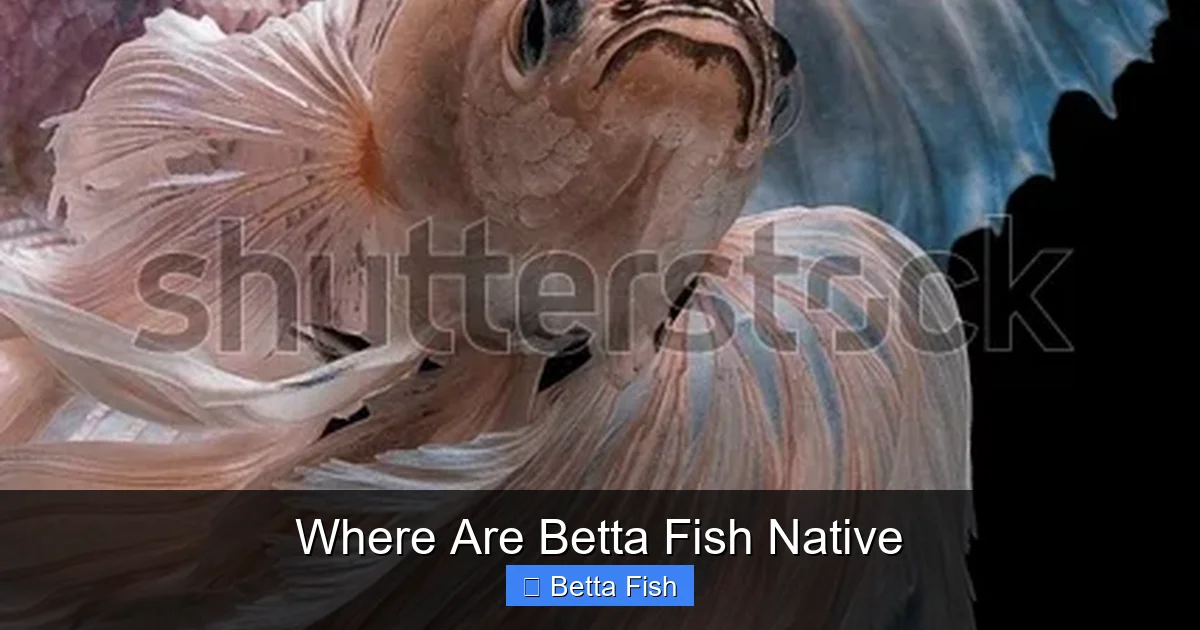 Where Are Betta Fish Native