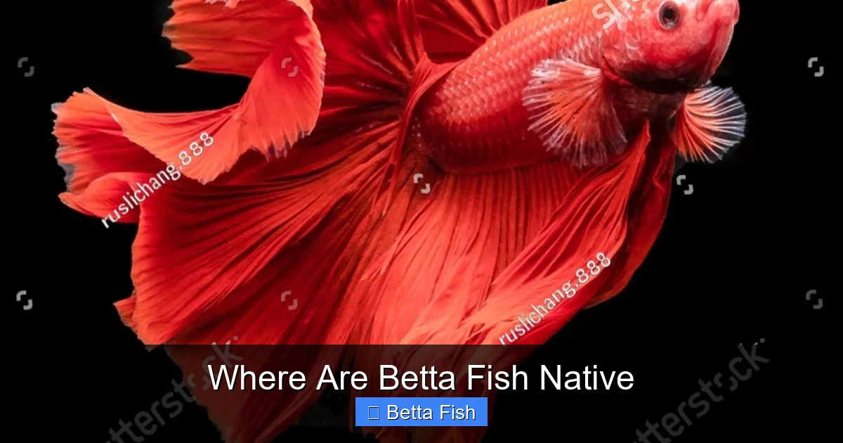 Where Are Betta Fish Native