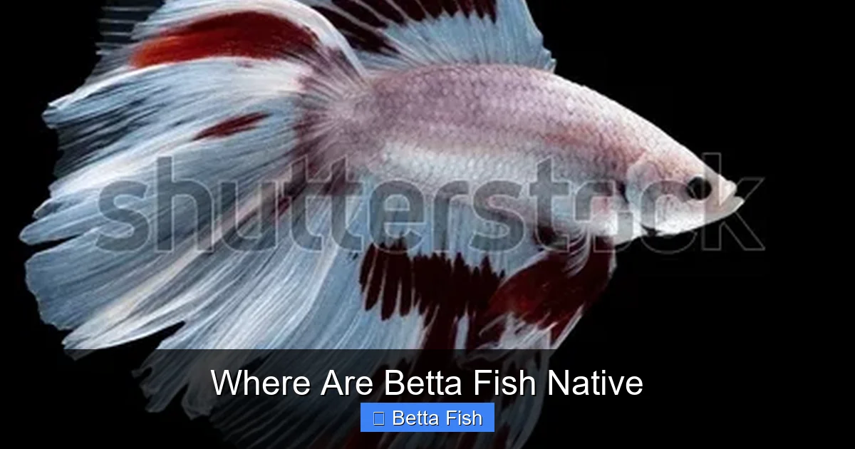 Where Are Betta Fish Native