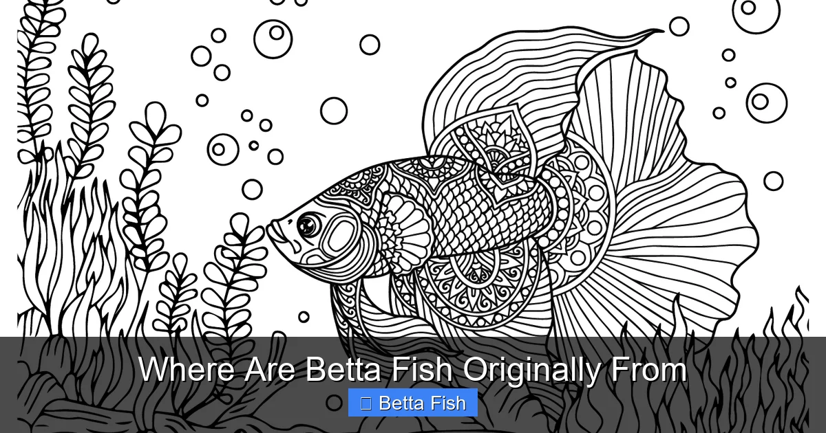 Where Are Betta Fish Originally From