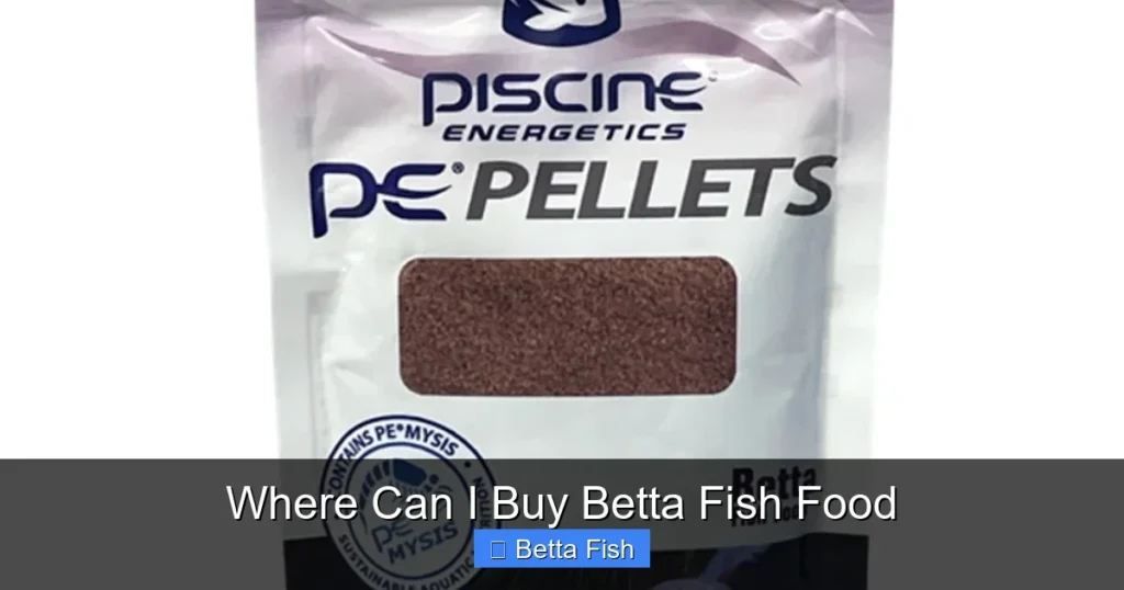 Where Can I Buy Betta Fish Food