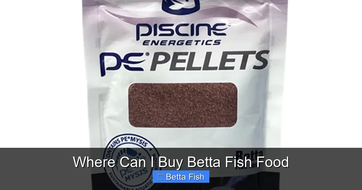 Where Can I Buy Betta Fish Food
