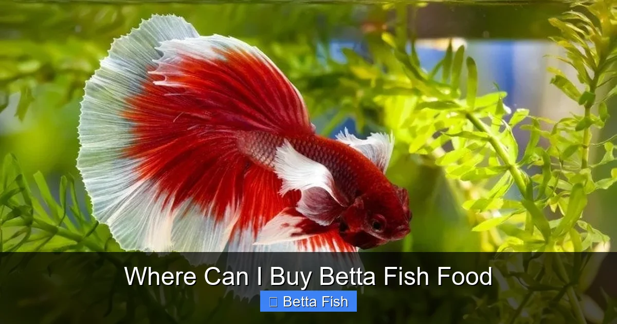 Where Can I Buy Betta Fish Food