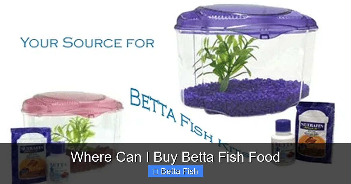 Where Can I Buy Betta Fish Food