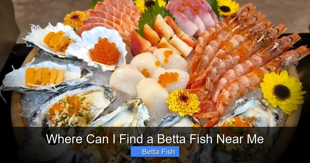 Where Can I Find a Betta Fish Near Me