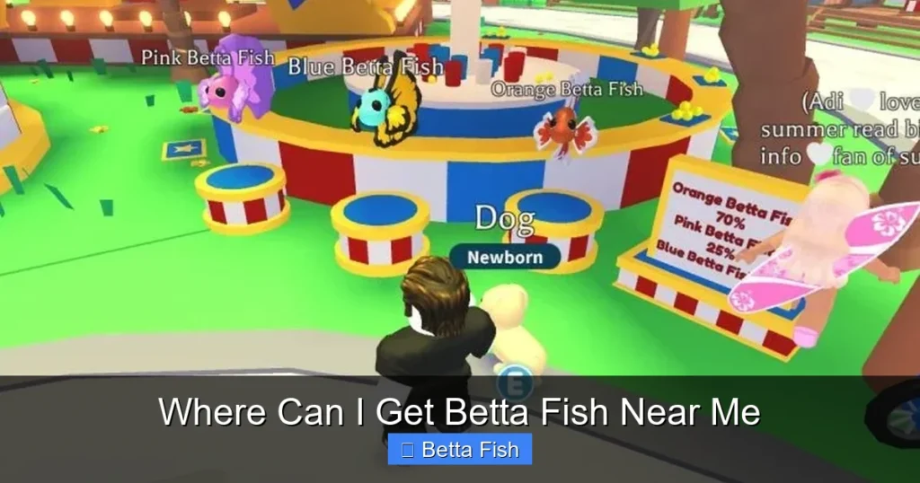 Where Can I Get Betta Fish Near Me