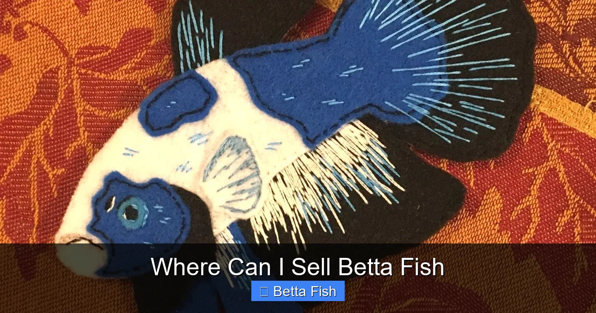 Where Can I Sell Betta Fish