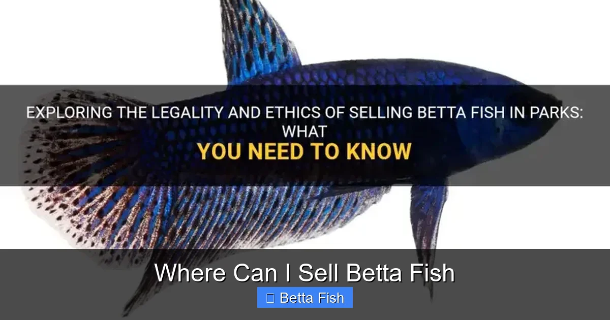 Where Can I Sell Betta Fish