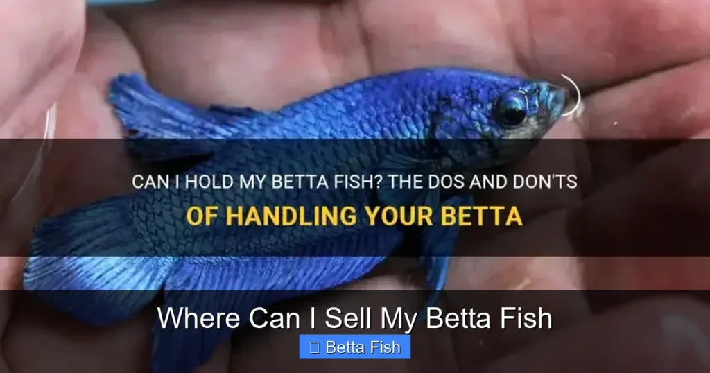 Where Can I Sell My Betta Fish
