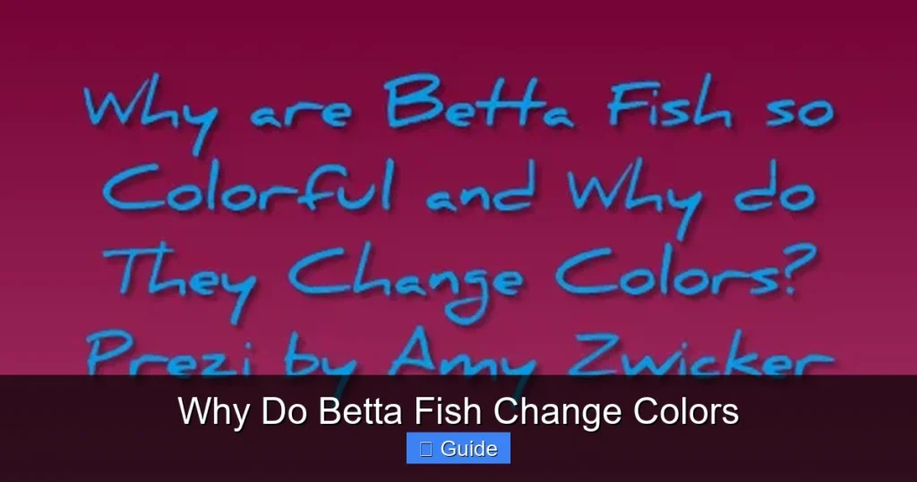 Why Do Betta Fish Change Colors
