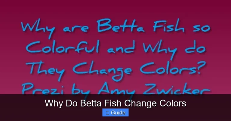 Why Do Betta Fish Change Colors