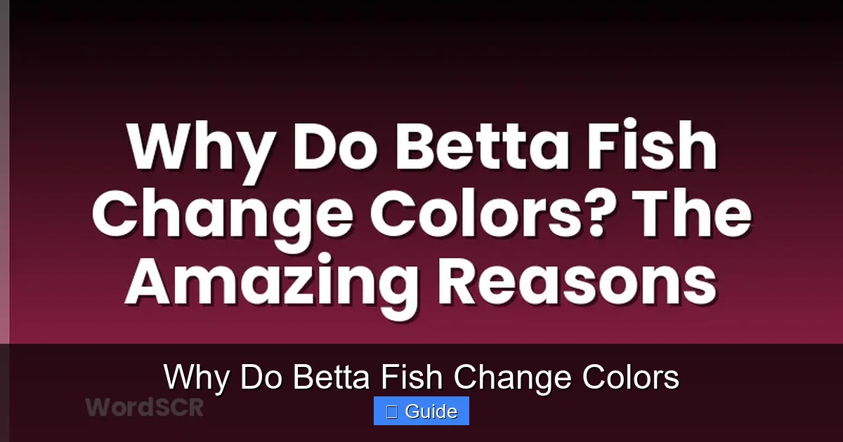 Why Do Betta Fish Change Colors