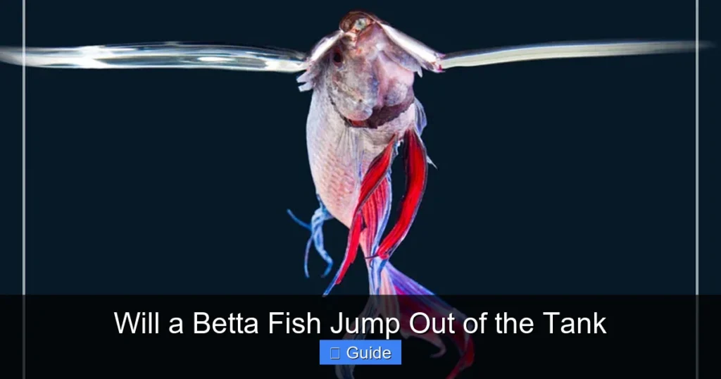 Will a Betta Fish Jump Out of the Tank