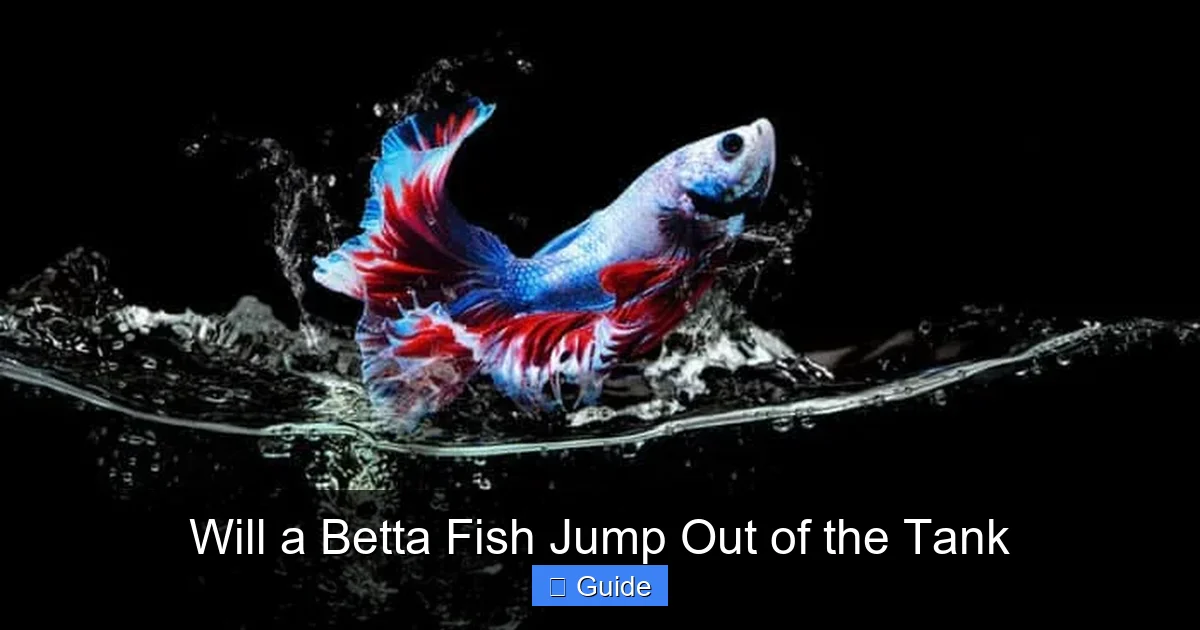 Will a Betta Fish Jump Out of the Tank