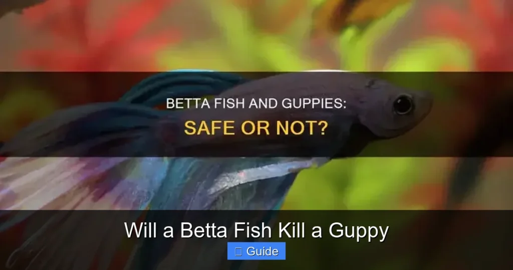 Will a Betta Fish Kill a Guppy