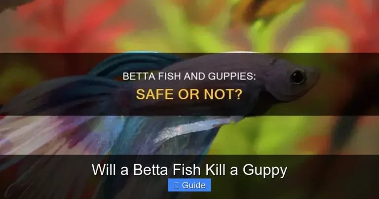 Will a Betta Fish Kill a Guppy