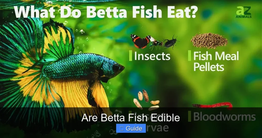 Are Betta Fish Edible