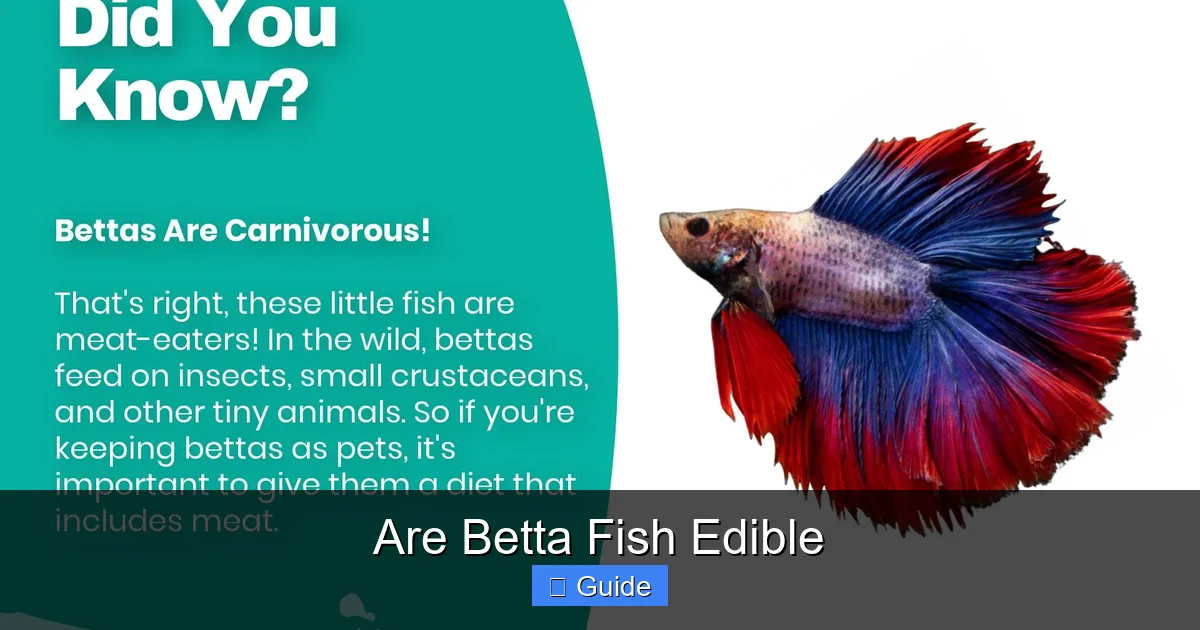 Are Betta Fish Edible