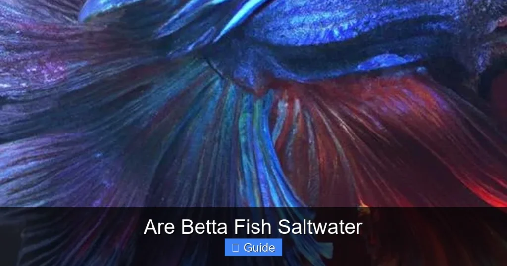 Are Betta Fish Saltwater