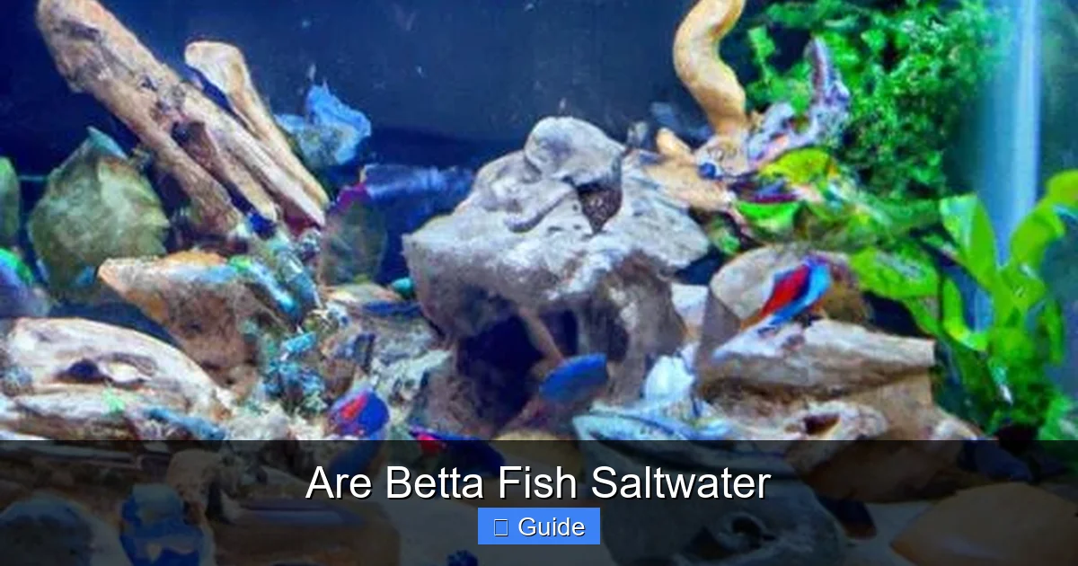 Are Betta Fish Saltwater
