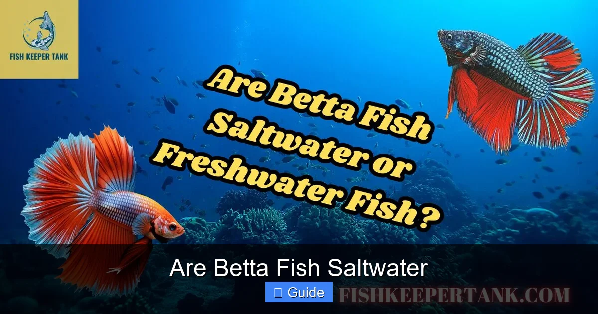 Are Betta Fish Saltwater