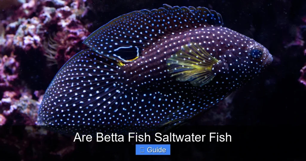 Are Betta Fish Saltwater Fish