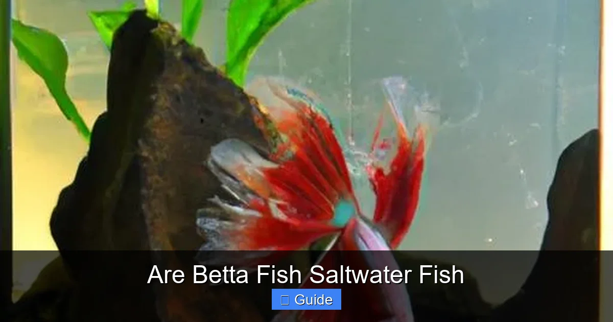 Are Betta Fish Saltwater Fish