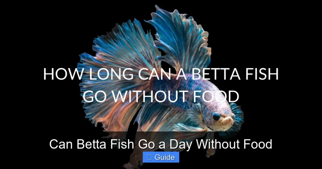 Can Betta Fish Go a Day Without Food
