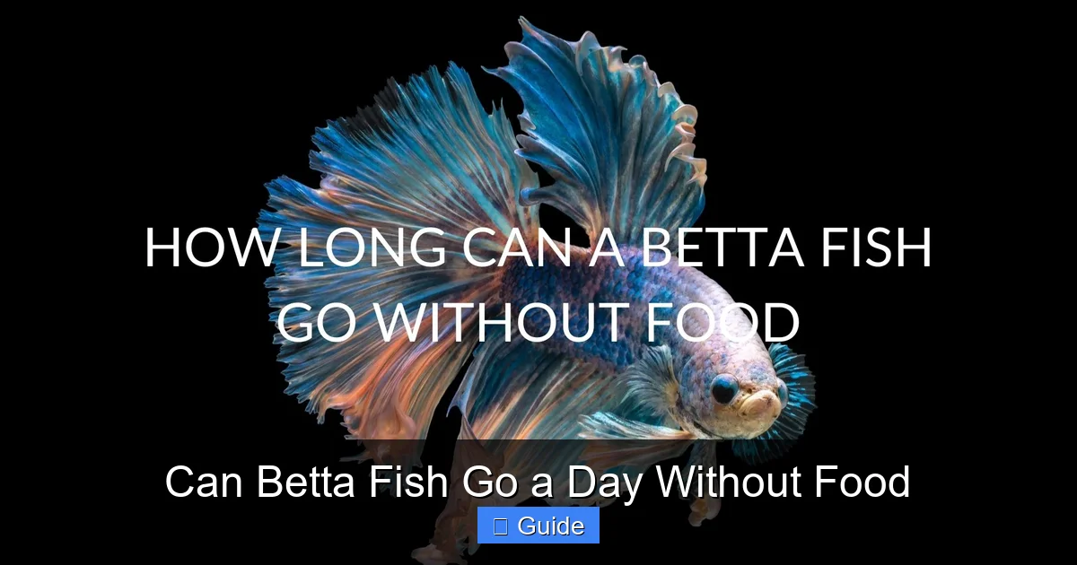 Can Betta Fish Go a Day Without Food