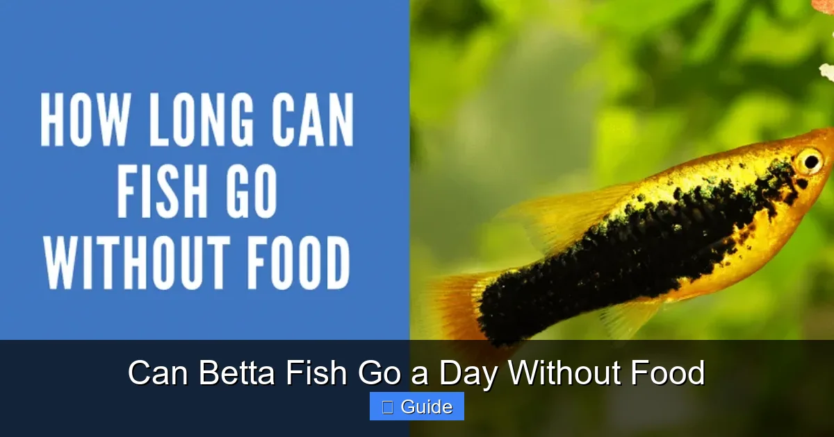 Can Betta Fish Go a Day Without Food