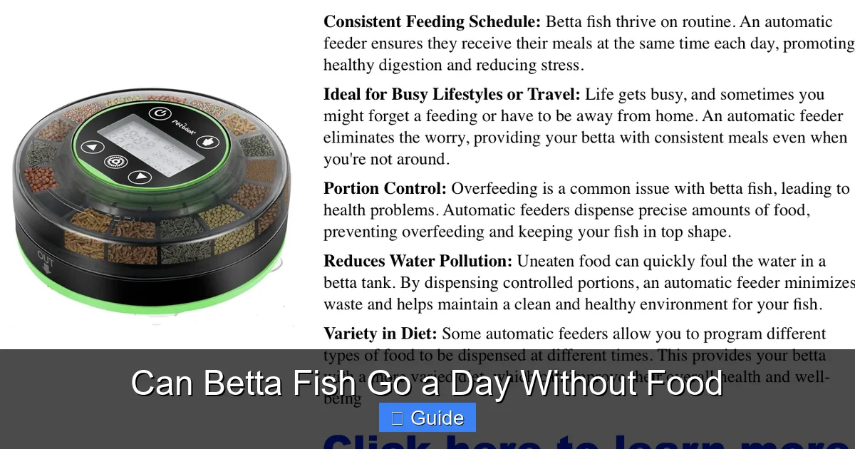 Can Betta Fish Go a Day Without Food