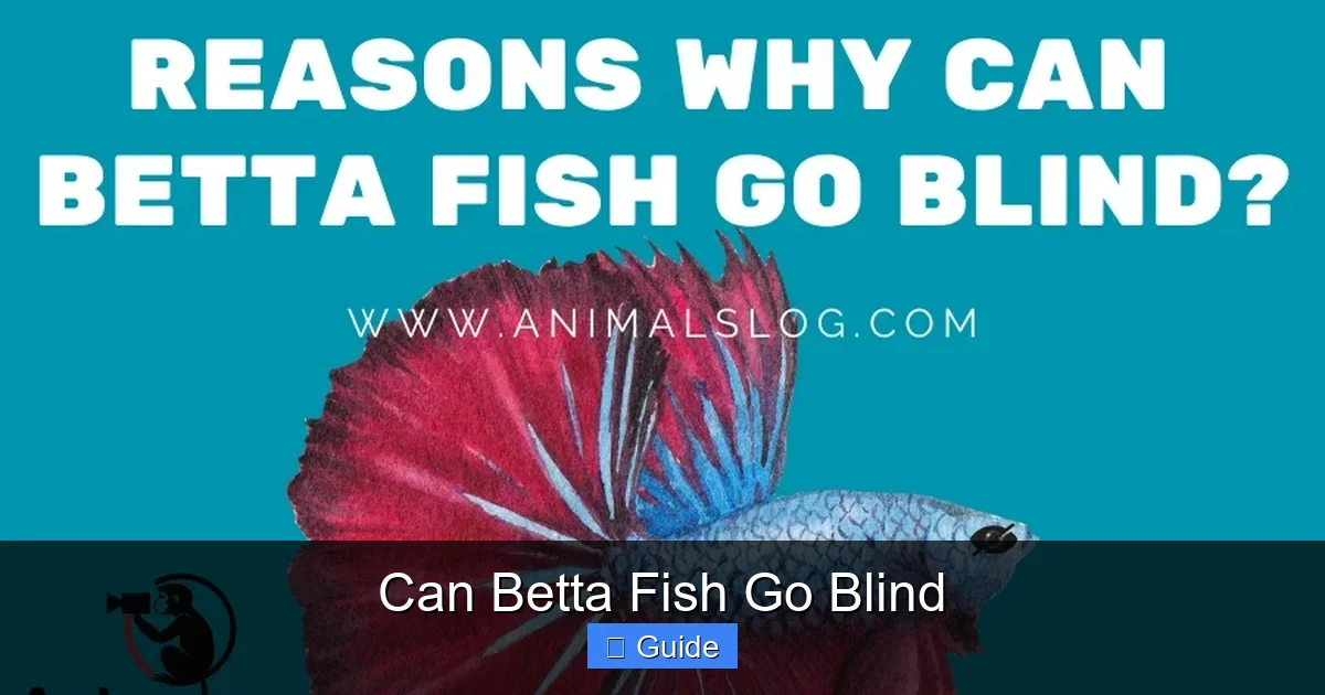 Can Betta Fish Go Blind