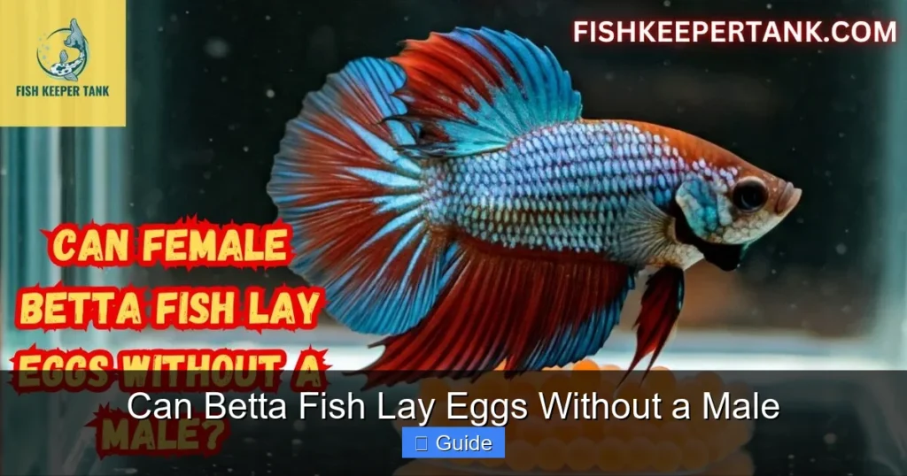Can Betta Fish Lay Eggs Without a Male
