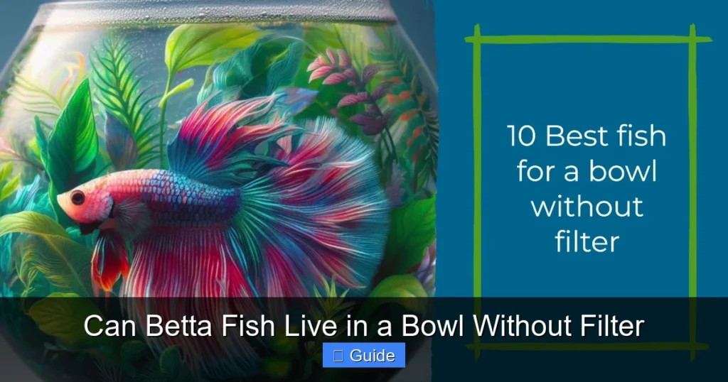 Can Betta Fish Live in a Bowl Without Filter