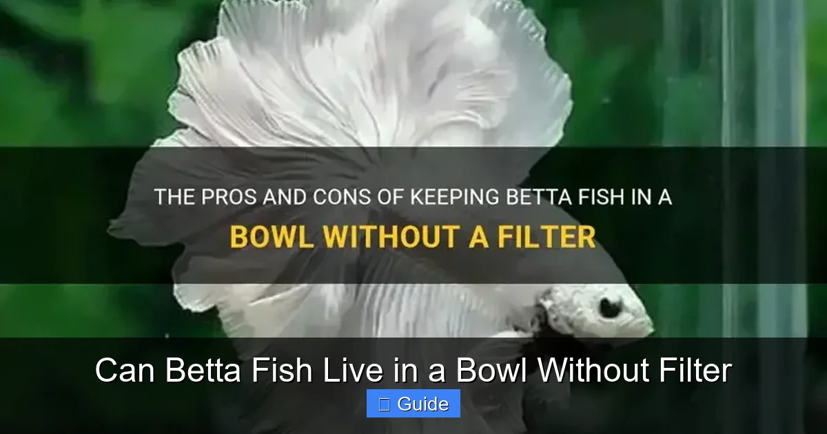 Can Betta Fish Live in a Bowl Without Filter