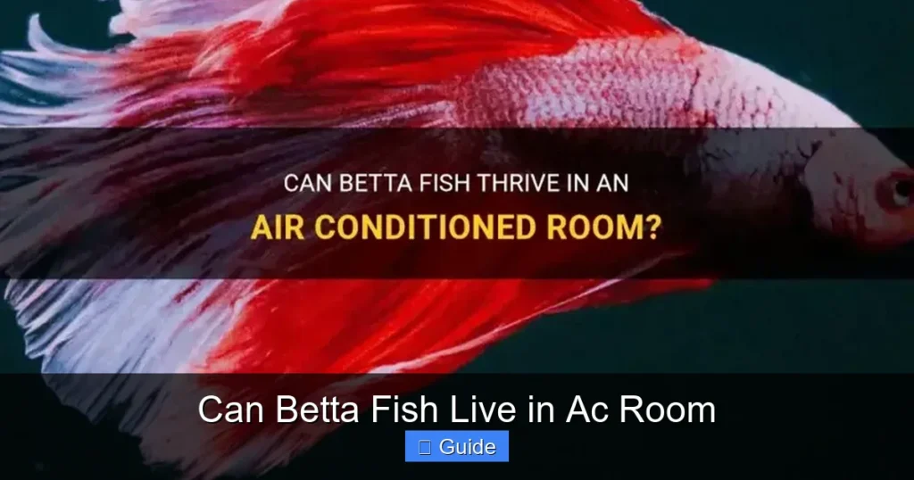 Can Betta Fish Live in Ac Room