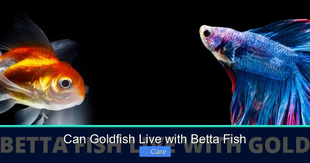Can Goldfish Live with Betta Fish