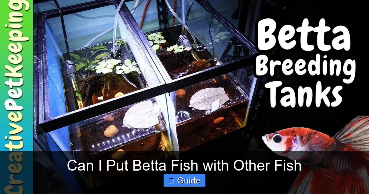Can I Put Betta Fish with Other Fish
