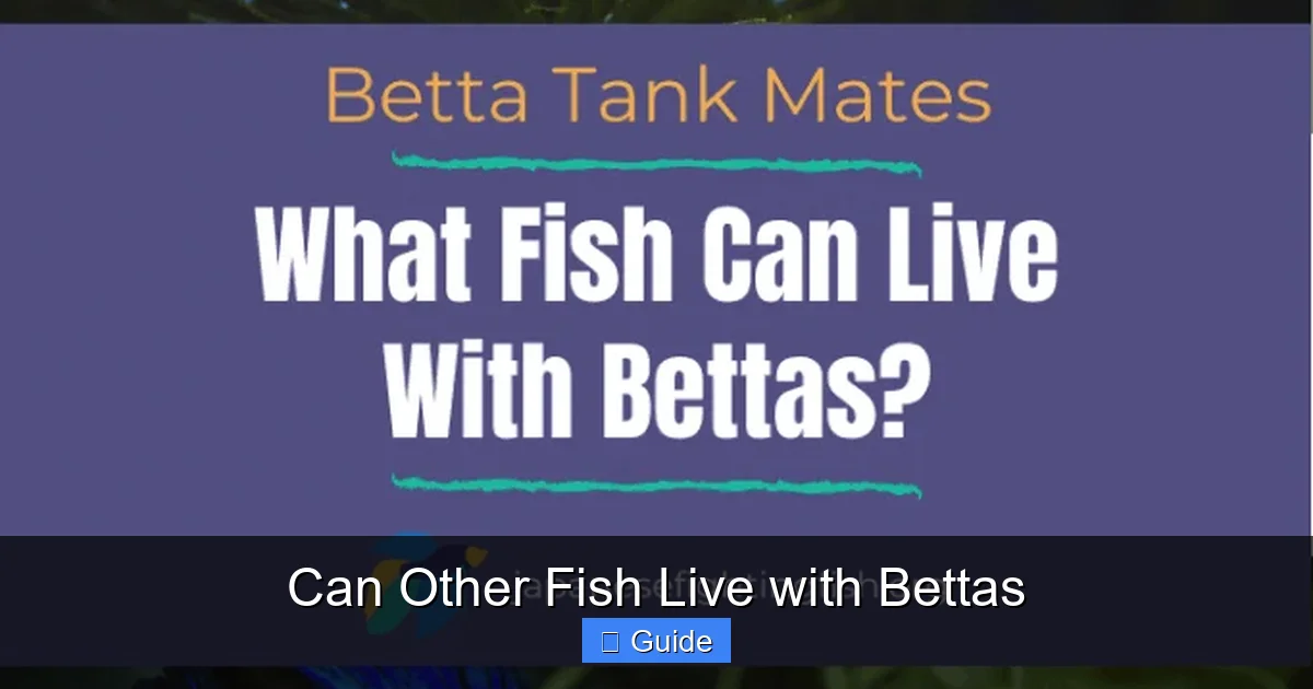 Can Other Fish Live with Bettas