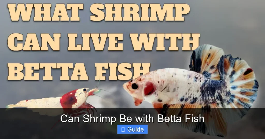 Can Shrimp Be with Betta Fish
