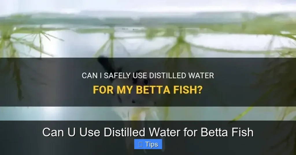 Can U Use Distilled Water for Betta Fish