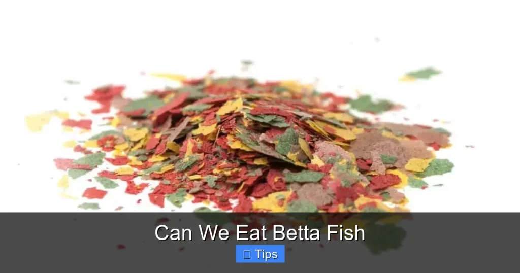 Can We Eat Betta Fish