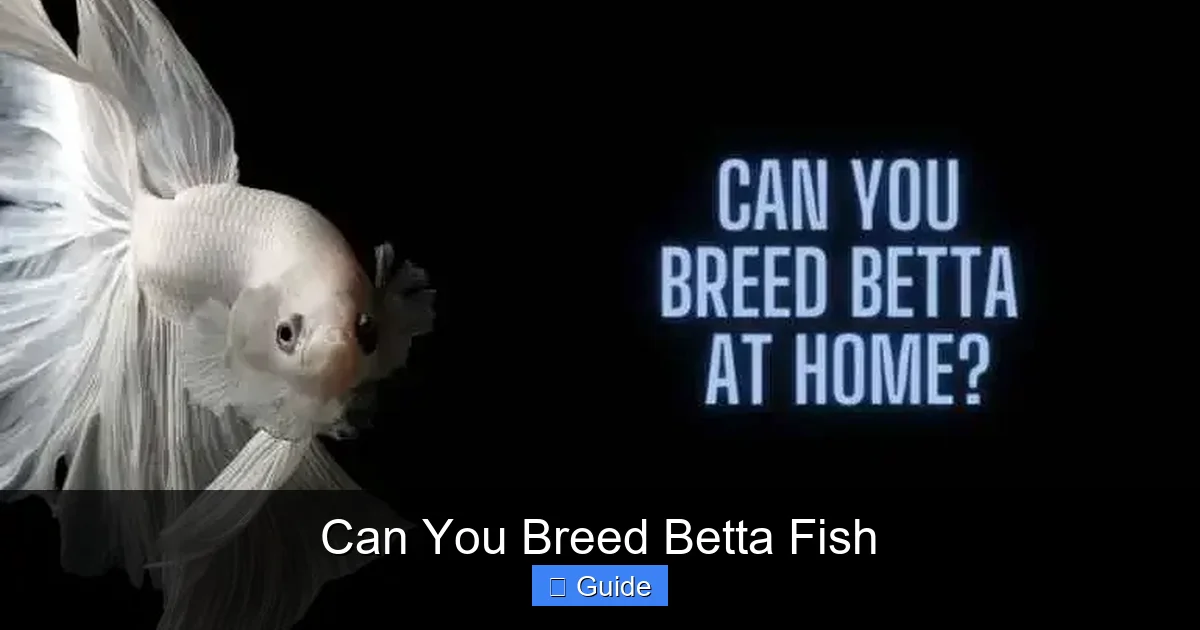 Can You Breed Betta Fish
