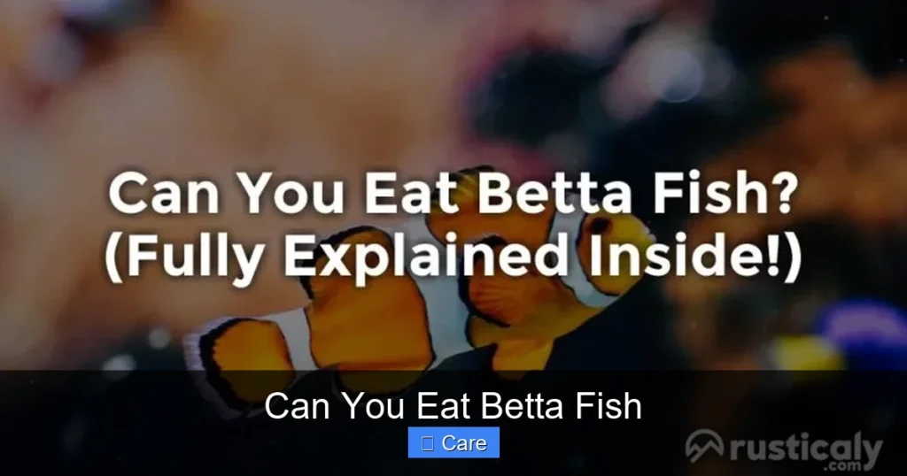Can You Eat Betta Fish