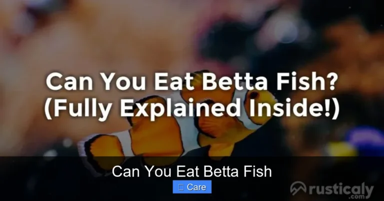 Can You Eat Betta Fish