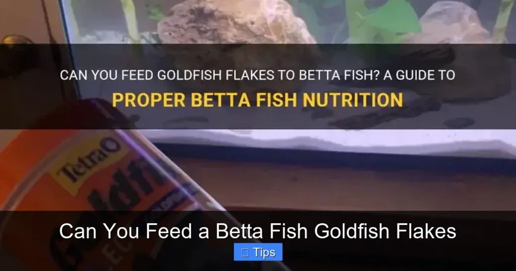 Can You Feed a Betta Fish Goldfish Flakes