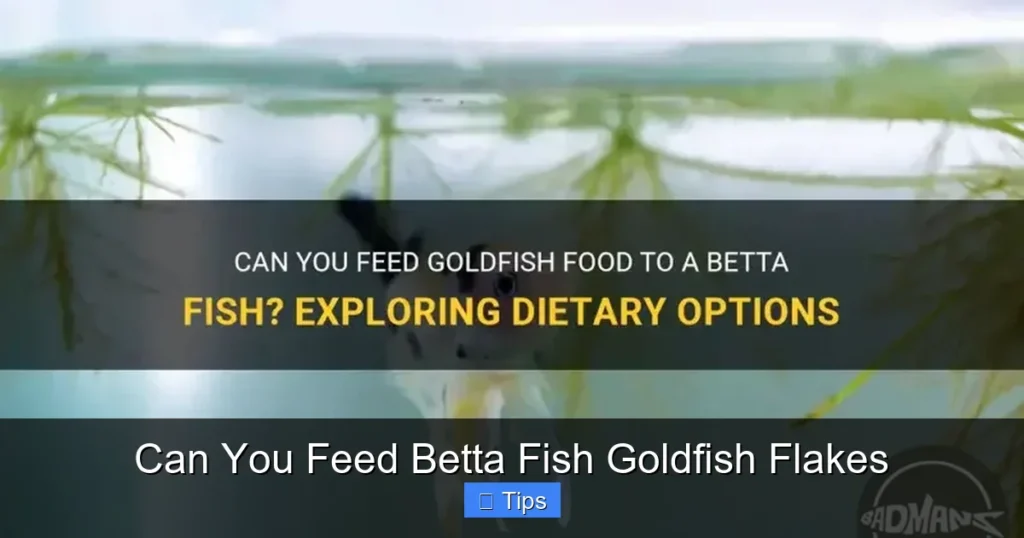 Can You Feed Betta Fish Goldfish Flakes
