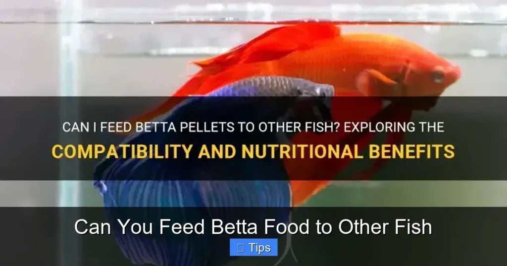 Can You Feed Betta Food to Other Fish