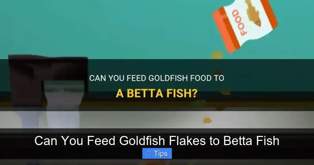 Can You Feed Goldfish Flakes to Betta Fish