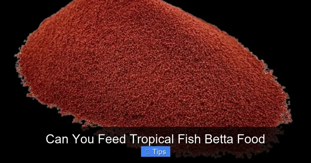 Can You Feed Tropical Fish Betta Food